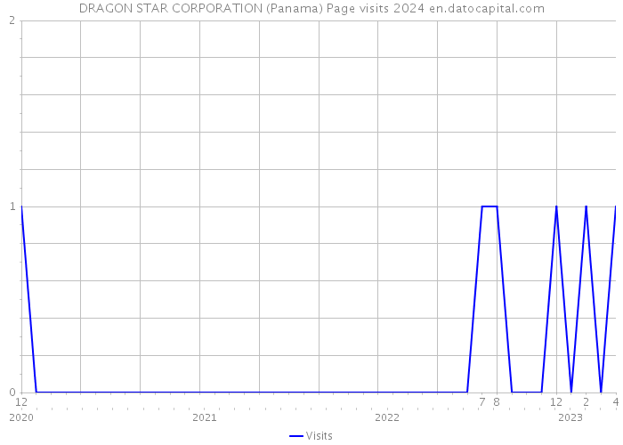 DRAGON STAR CORPORATION (Panama) Page visits 2024 