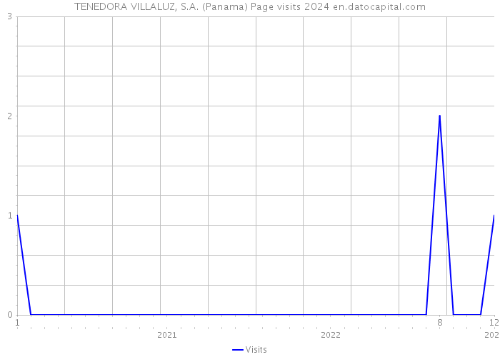 TENEDORA VILLALUZ, S.A. (Panama) Page visits 2024 
