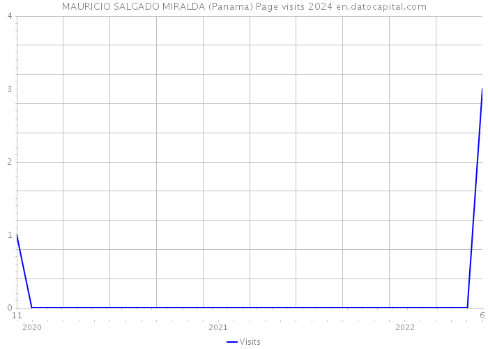 MAURICIO SALGADO MIRALDA (Panama) Page visits 2024 