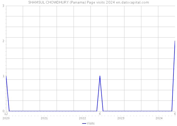 SHAMSUL CHOWDHURY (Panama) Page visits 2024 