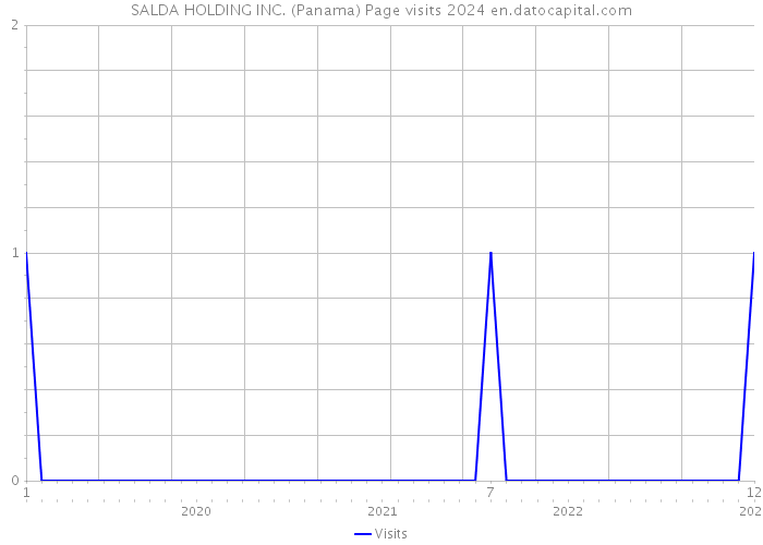 SALDA HOLDING INC. (Panama) Page visits 2024 