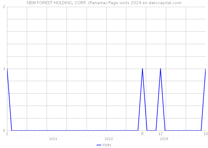 NEW FOREST HOLDING, CORP. (Panama) Page visits 2024 