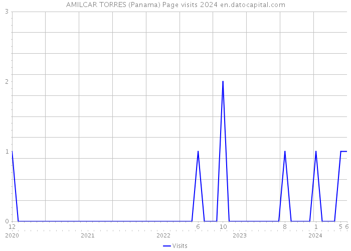 AMILCAR TORRES (Panama) Page visits 2024 