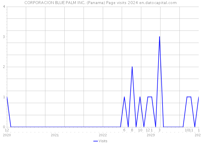 CORPORACION BLUE PALM INC. (Panama) Page visits 2024 