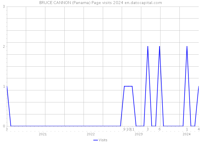 BRUCE CANNON (Panama) Page visits 2024 