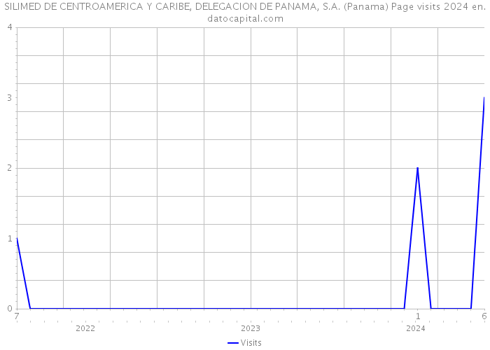 SILIMED DE CENTROAMERICA Y CARIBE, DELEGACION DE PANAMA, S.A. (Panama) Page visits 2024 