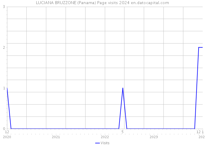 LUCIANA BRUZZONE (Panama) Page visits 2024 