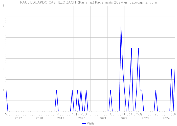 RAUL EDUARDO CASTILLO ZACHI (Panama) Page visits 2024 