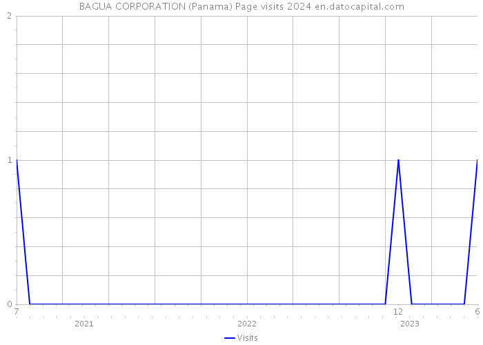 BAGUA CORPORATION (Panama) Page visits 2024 