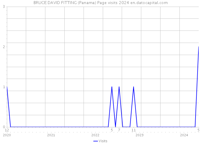 BRUCE DAVID FITTING (Panama) Page visits 2024 