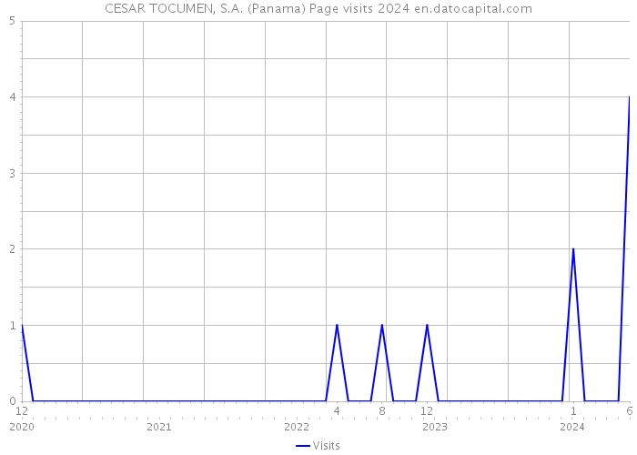 CESAR TOCUMEN, S.A. (Panama) Page visits 2024 