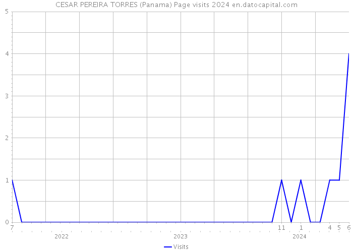 CESAR PEREIRA TORRES (Panama) Page visits 2024 