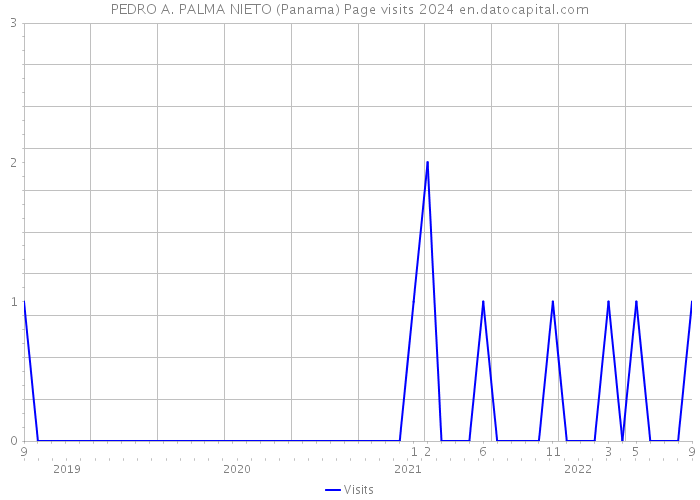 PEDRO A. PALMA NIETO (Panama) Page visits 2024 