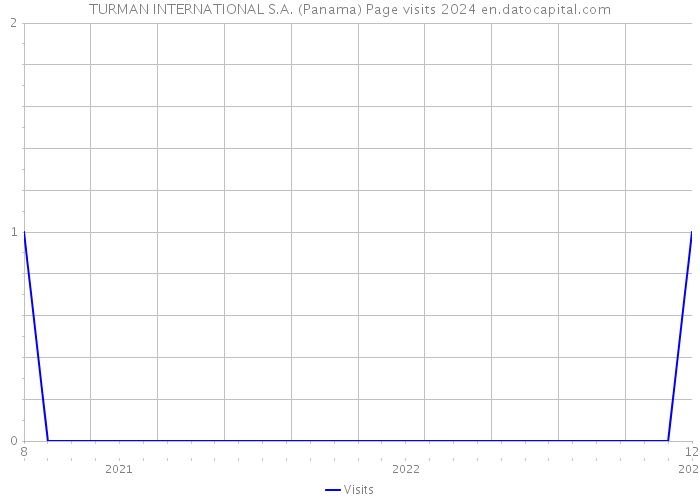 TURMAN INTERNATIONAL S.A. (Panama) Page visits 2024 