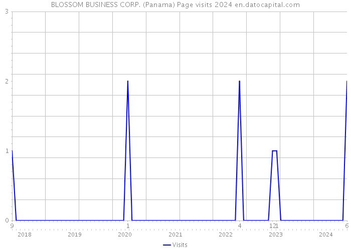 BLOSSOM BUSINESS CORP. (Panama) Page visits 2024 