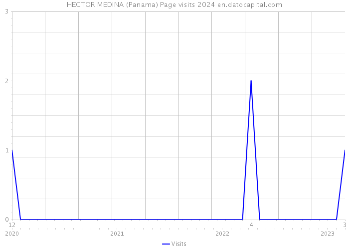 HECTOR MEDINA (Panama) Page visits 2024 
