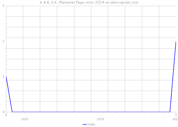 A & E, S.A. (Panama) Page visits 2024 