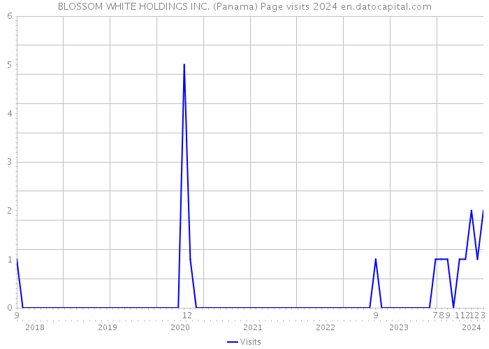 BLOSSOM WHITE HOLDINGS INC. (Panama) Page visits 2024 