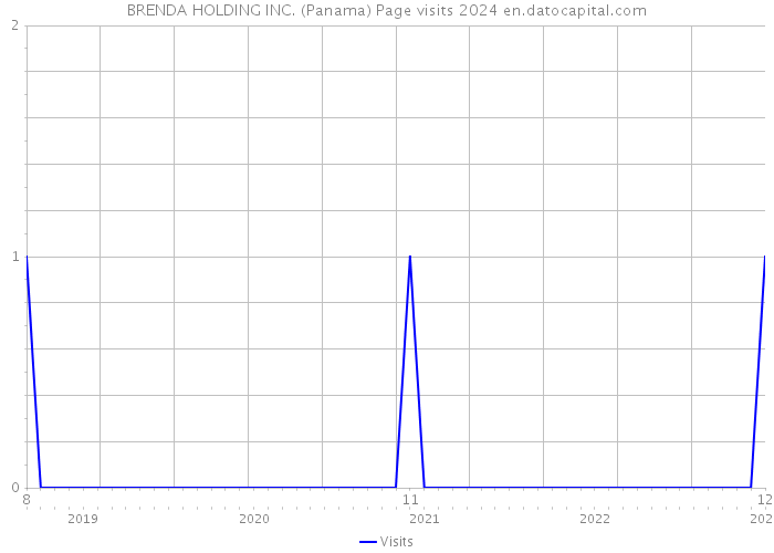 BRENDA HOLDING INC. (Panama) Page visits 2024 