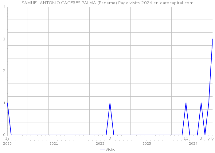 SAMUEL ANTONIO CACERES PALMA (Panama) Page visits 2024 