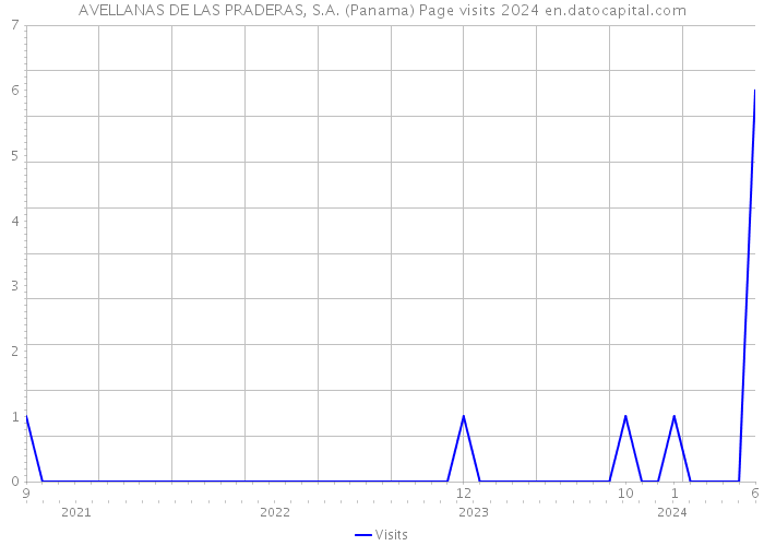 AVELLANAS DE LAS PRADERAS, S.A. (Panama) Page visits 2024 