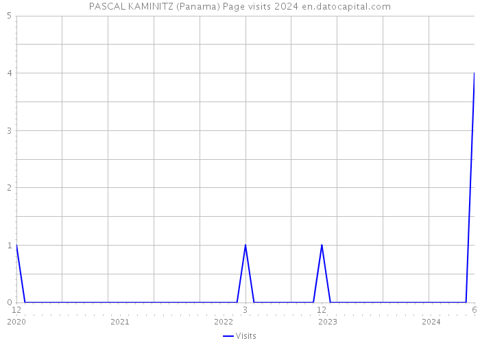 PASCAL KAMINITZ (Panama) Page visits 2024 