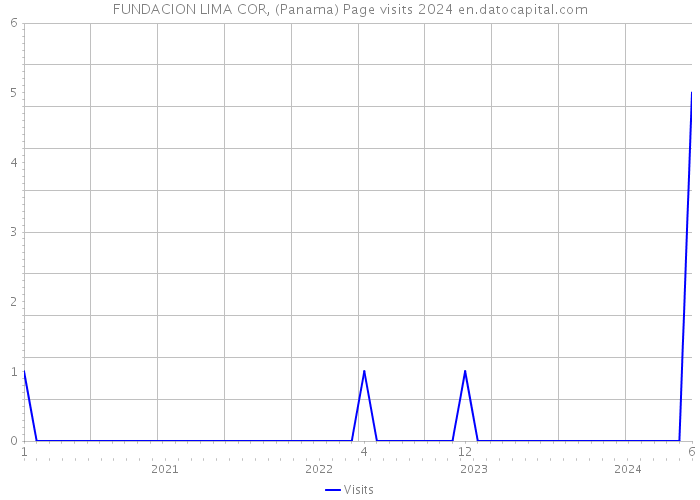 FUNDACION LIMA COR, (Panama) Page visits 2024 
