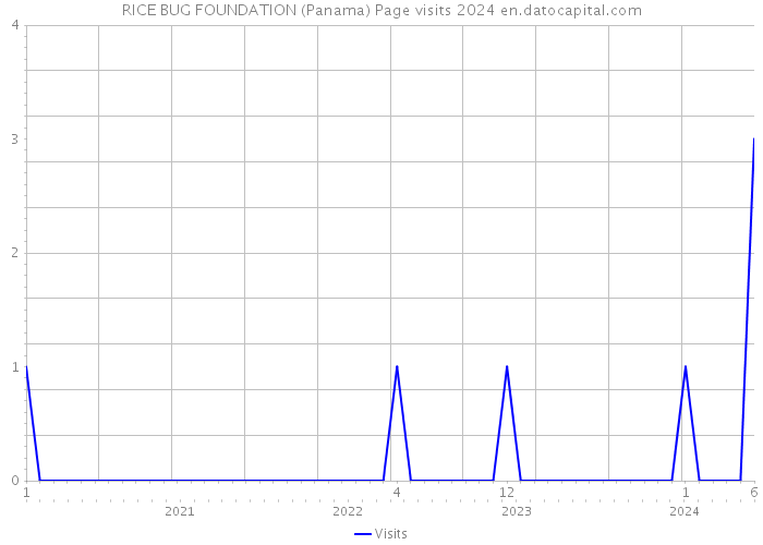 RICE BUG FOUNDATION (Panama) Page visits 2024 