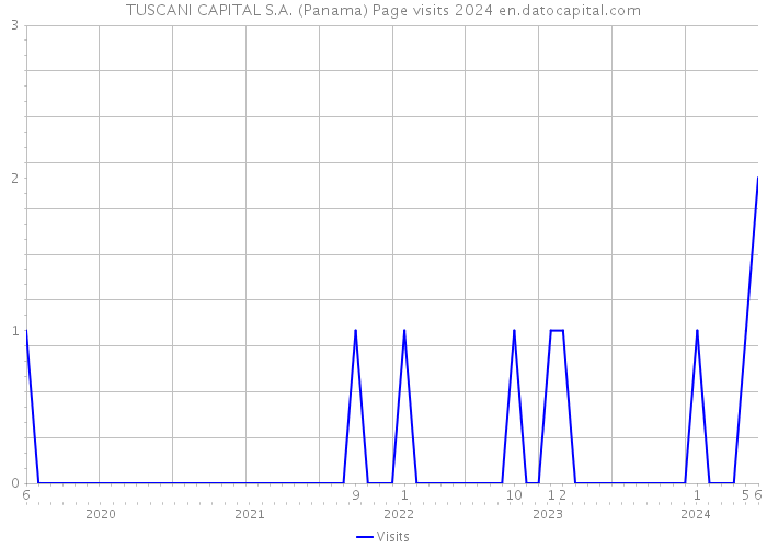 TUSCANI CAPITAL S.A. (Panama) Page visits 2024 