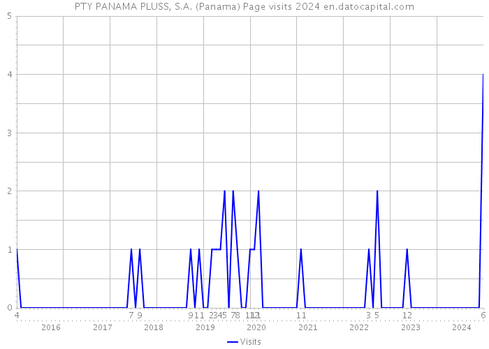 PTY PANAMA PLUSS, S.A. (Panama) Page visits 2024 