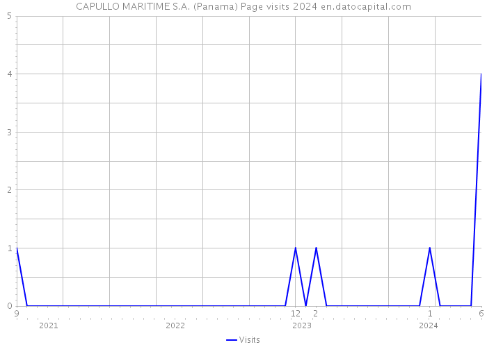 CAPULLO MARITIME S.A. (Panama) Page visits 2024 