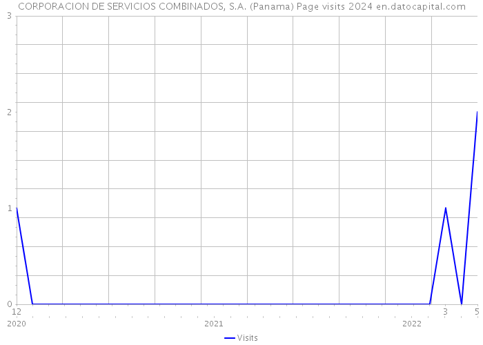 CORPORACION DE SERVICIOS COMBINADOS, S.A. (Panama) Page visits 2024 