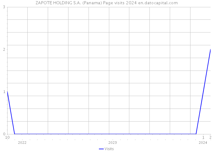 ZAPOTE HOLDING S.A. (Panama) Page visits 2024 