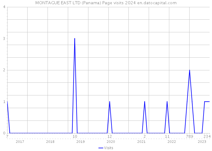 MONTAGUE EAST LTD (Panama) Page visits 2024 