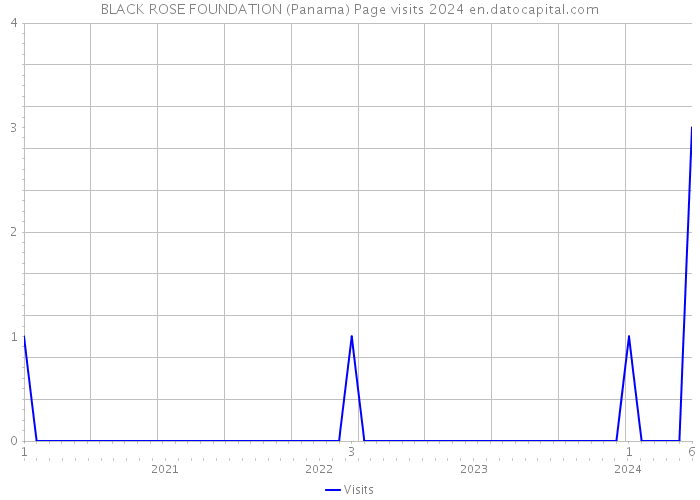 BLACK ROSE FOUNDATION (Panama) Page visits 2024 