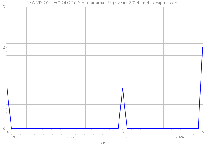 NEW VISION TECNOLOGY, S.A. (Panama) Page visits 2024 