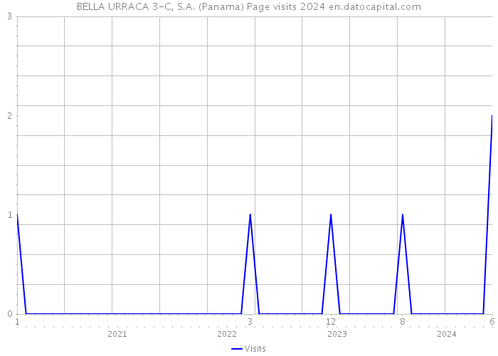 BELLA URRACA 3-C, S.A. (Panama) Page visits 2024 