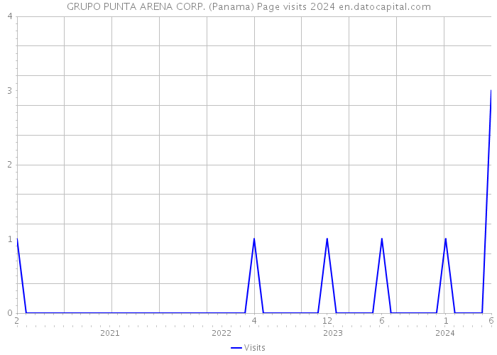 GRUPO PUNTA ARENA CORP. (Panama) Page visits 2024 