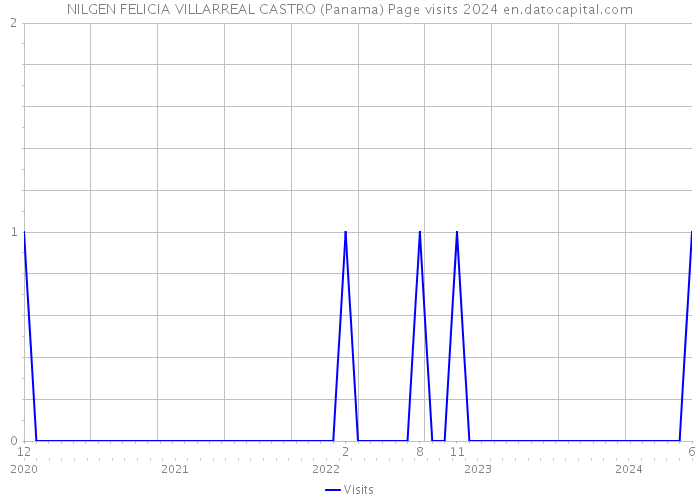 NILGEN FELICIA VILLARREAL CASTRO (Panama) Page visits 2024 