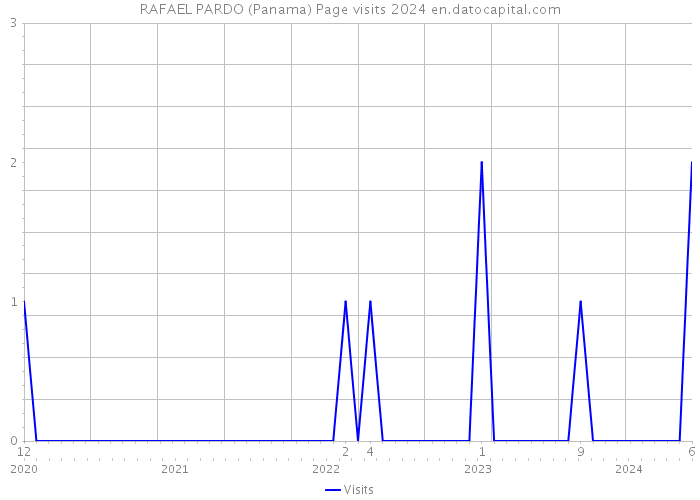 RAFAEL PARDO (Panama) Page visits 2024 