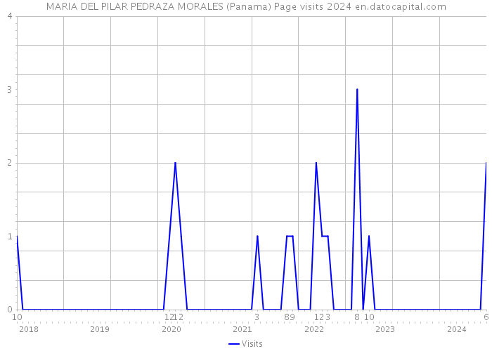 MARIA DEL PILAR PEDRAZA MORALES (Panama) Page visits 2024 
