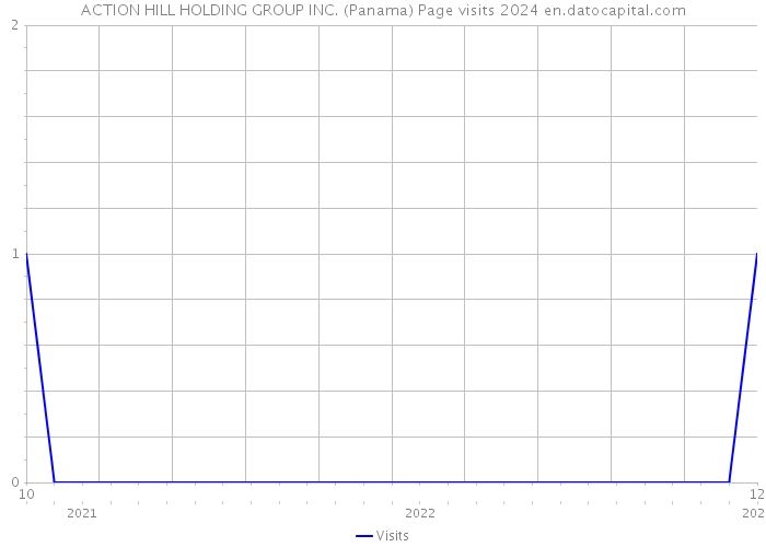 ACTION HILL HOLDING GROUP INC. (Panama) Page visits 2024 