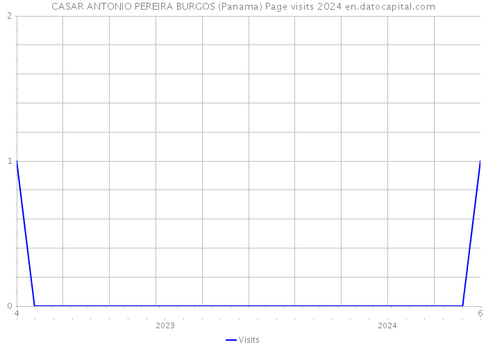 CASAR ANTONIO PEREIRA BURGOS (Panama) Page visits 2024 