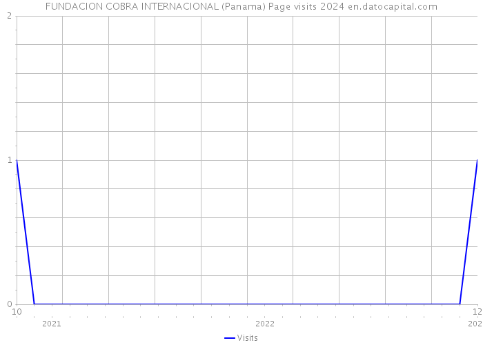 FUNDACION COBRA INTERNACIONAL (Panama) Page visits 2024 