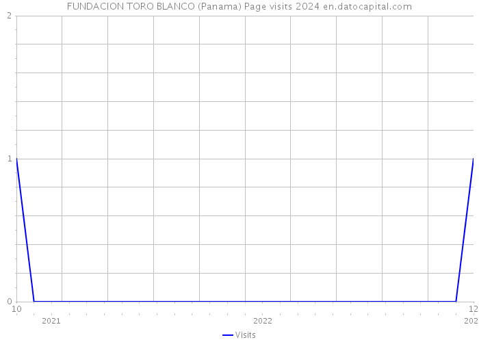 FUNDACION TORO BLANCO (Panama) Page visits 2024 