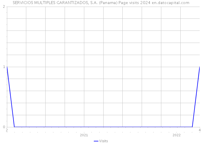SERVICIOS MULTIPLES GARANTIZADOS, S.A. (Panama) Page visits 2024 