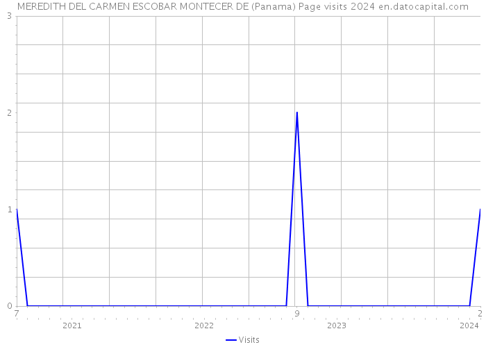 MEREDITH DEL CARMEN ESCOBAR MONTECER DE (Panama) Page visits 2024 
