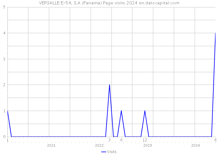 VERSALLE E-54, S.A (Panama) Page visits 2024 