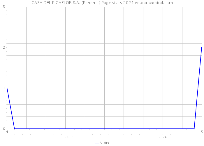CASA DEL PICAFLOR,S.A. (Panama) Page visits 2024 