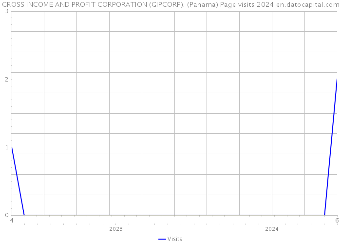GROSS INCOME AND PROFIT CORPORATION (GIPCORP). (Panama) Page visits 2024 